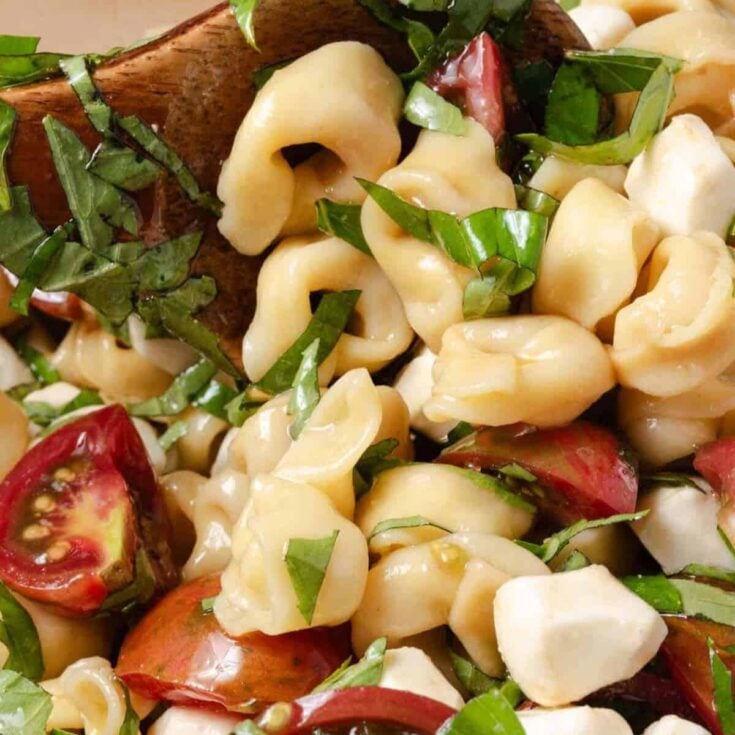 Tortellini caprese pasta salad