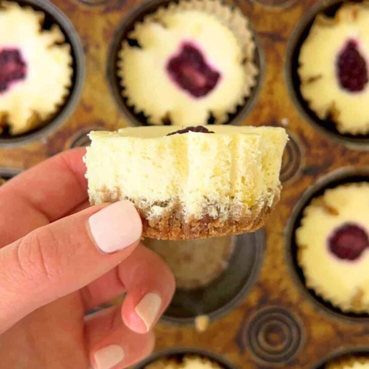 Blackberry lemon cheesecake bites dessert