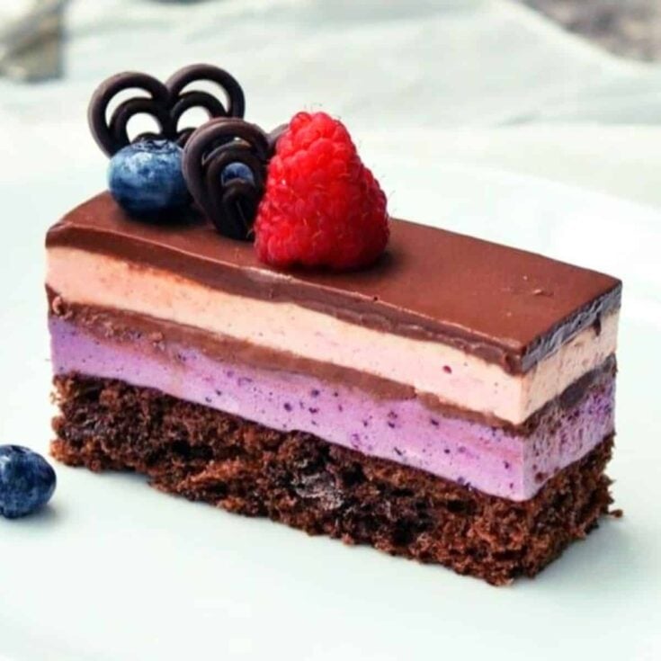 A slice of blueberry and raspberry chocolate cake