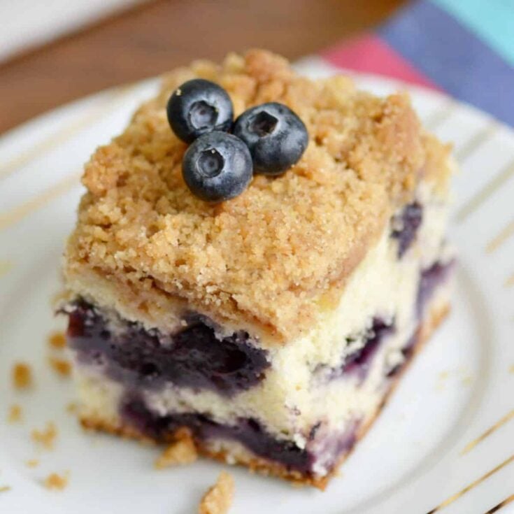 Blueberry buckle dessert with streusel topping