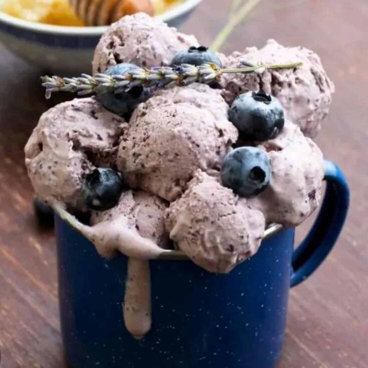 Blueberry cheesecake ice cream with lavender