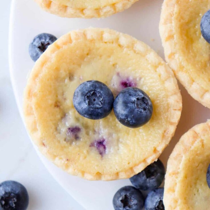 Blueberry custard tarts