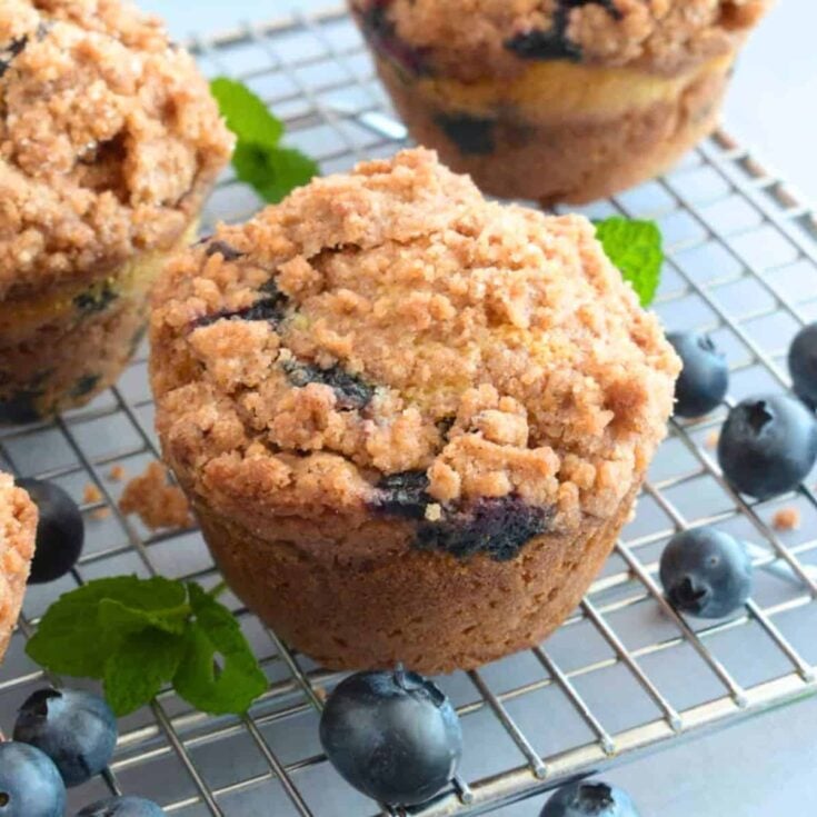 Blueberry okara muffins