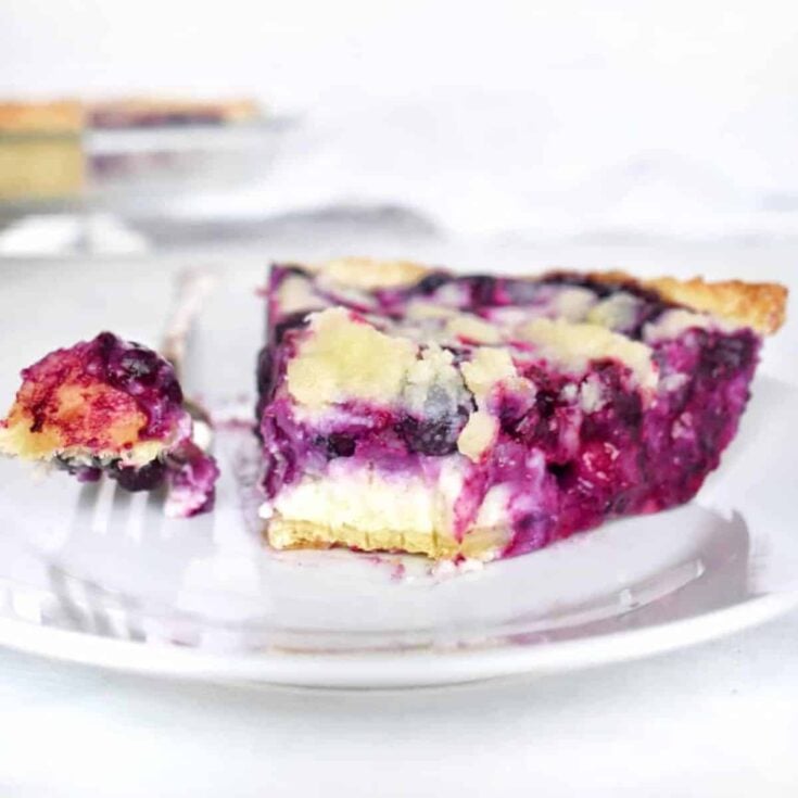 A slice of blueberry sour cream pie