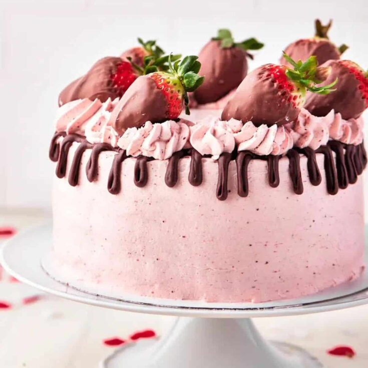 Chocolate strawberry cake dessert