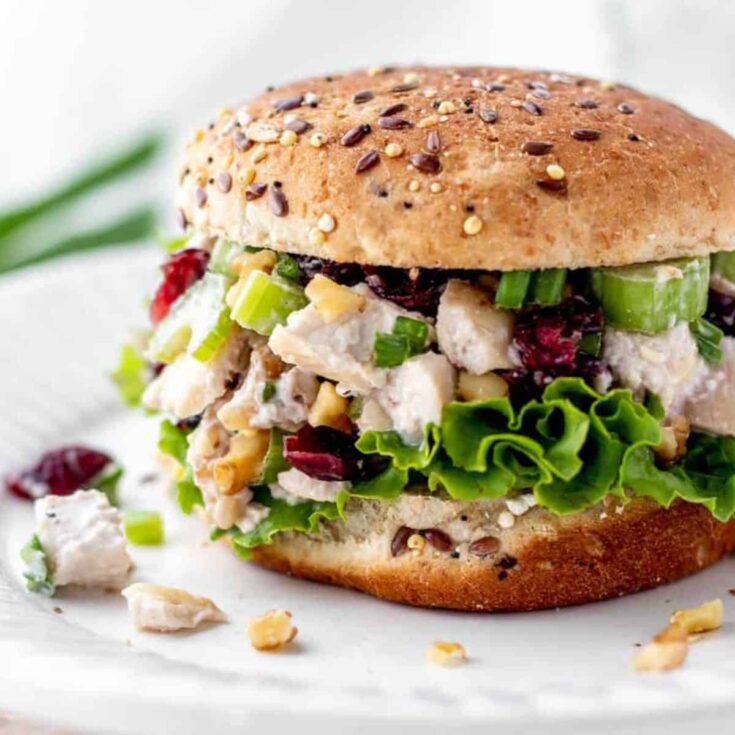 Cranberry walnut chicken salad sandwich
