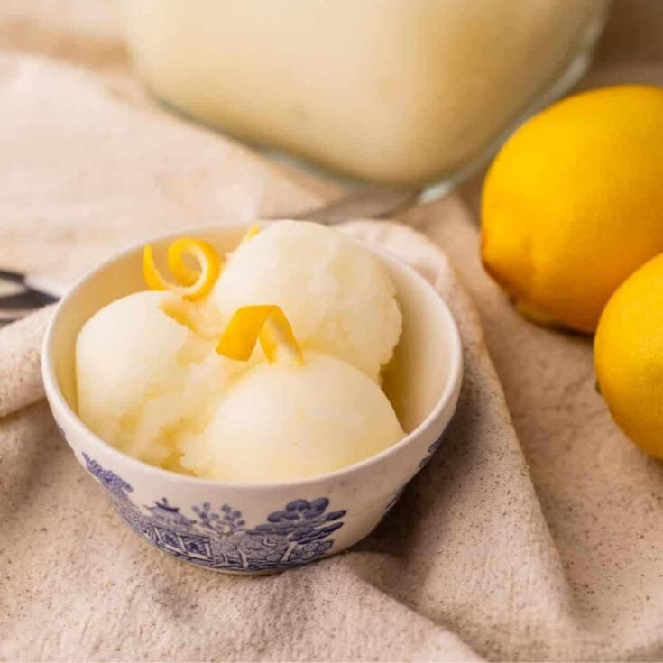 A cup of homemade Italian lemon sorbet dessert
