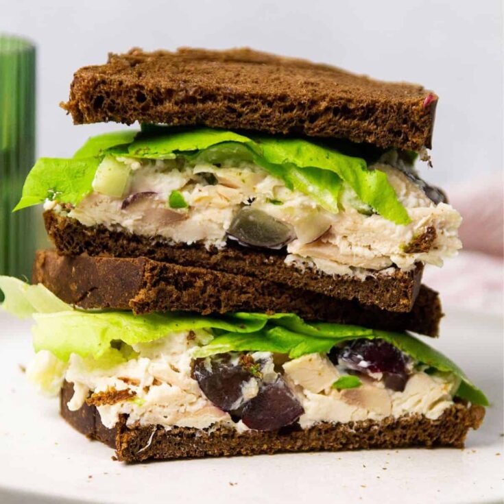 Pumpernickel chicken salad picnic sandwiches