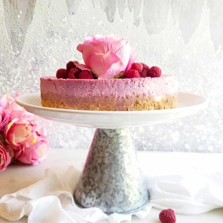 Raspberry cheesecake gourmet dessert