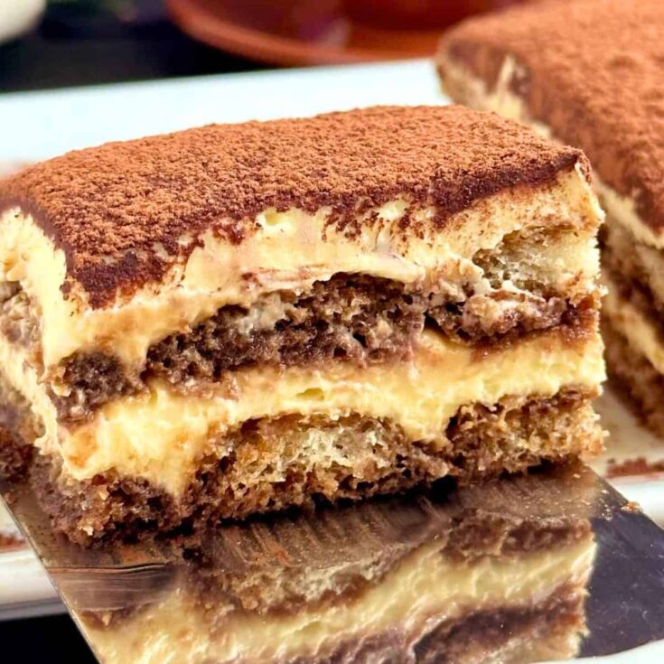 Tiramisu gourmet dessert