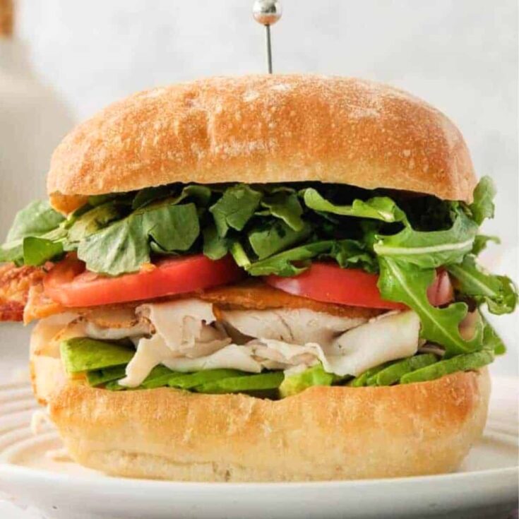 Turkey avocado picnic sandwiches