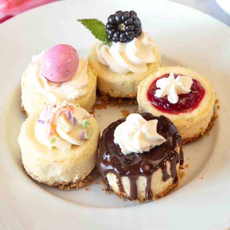 Mini cheesecake bites made after reading these fancy dessert recipes