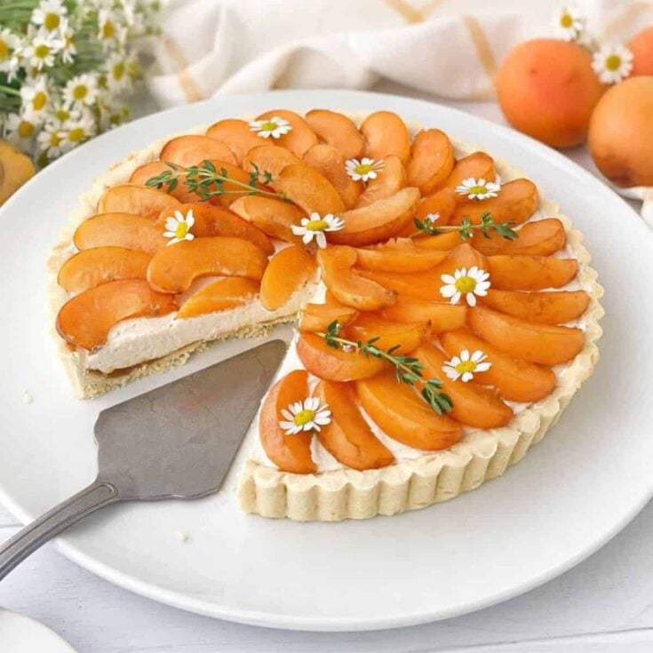 Apricot tart fancy dessert