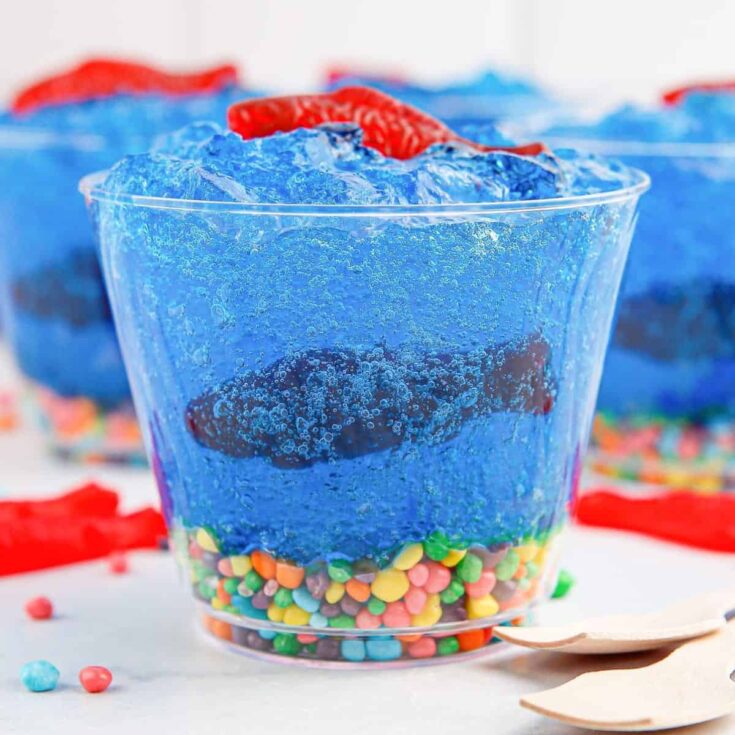 Mini fish tank Jell-O cups
