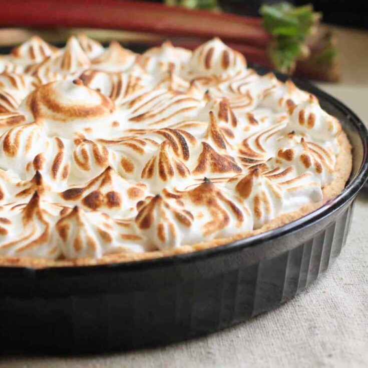 Rhubarb tart dessert with or without meringue
