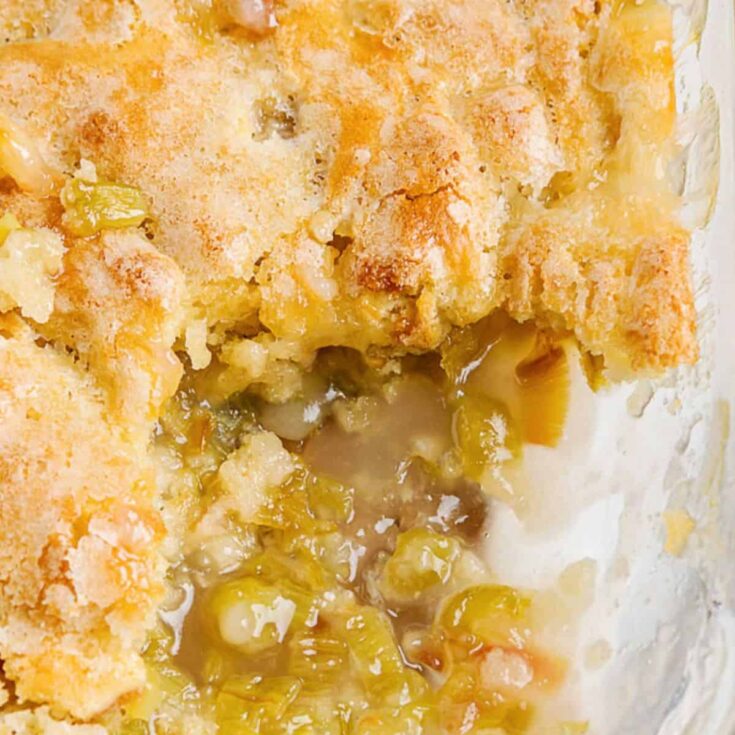 Rhubarb pudding cake