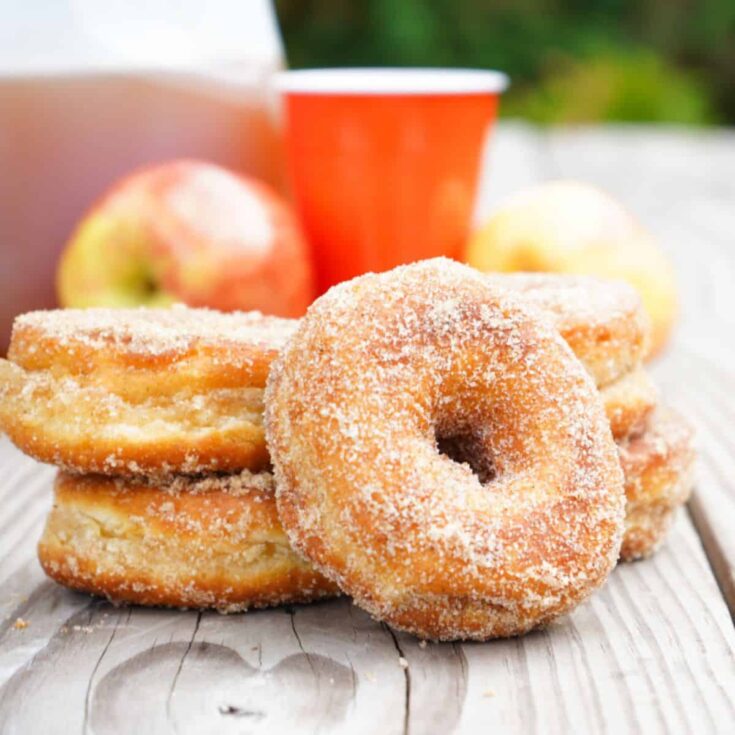 Apple pie spice campfire donuts