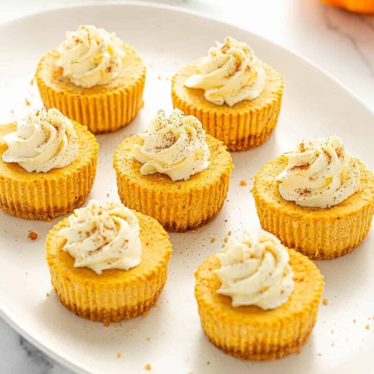 Mini pumpkin cheesecakes