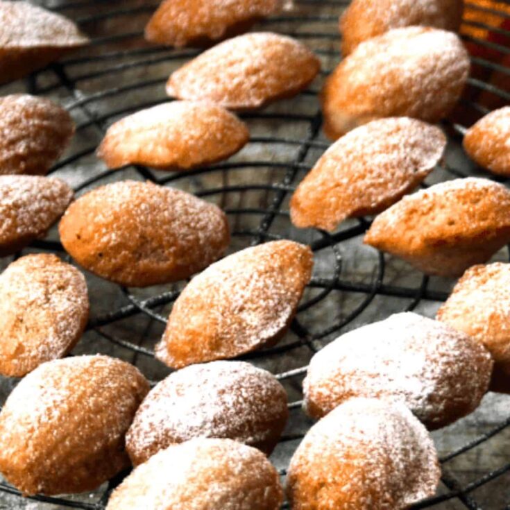 Grain-free pumpkin spice madeleines