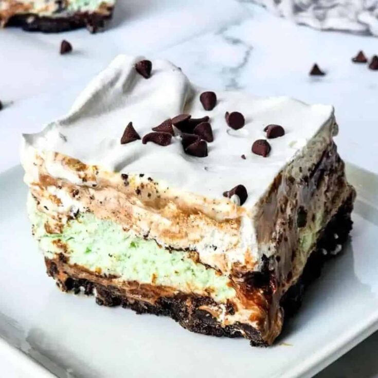 Mint chocolate chip ice cream cake