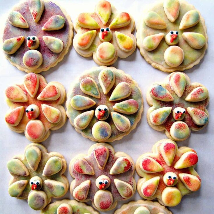 Painted turkey sugar cookies