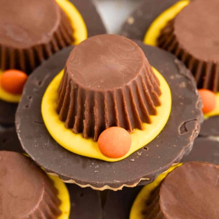 Pilgrim hat Thanksgiving cookies