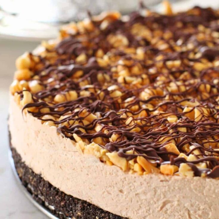 Reese's peanut butter chocolate ice cream cake