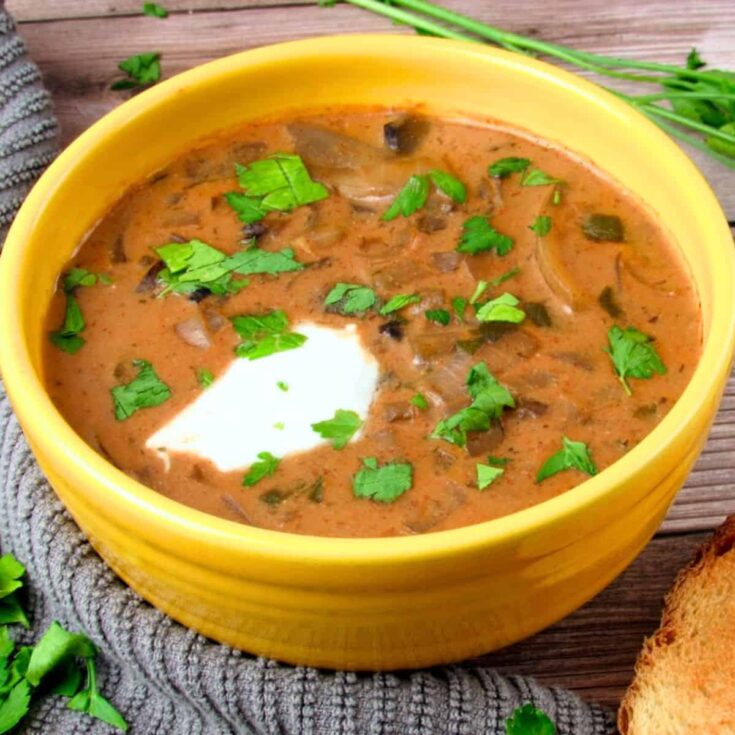 Vegan Hungarian mushroom fall soup