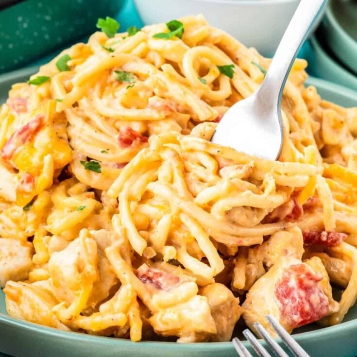 Chicken spaghetti with rotel