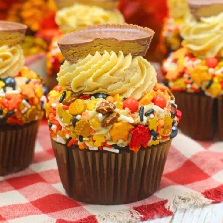 Fall harvest chocolate peanut butter cupcakes
