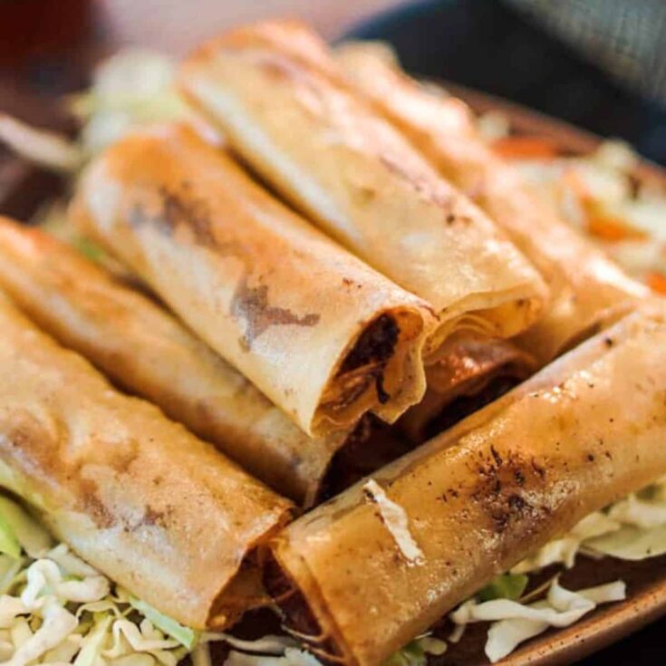 Pulled pork lumpia