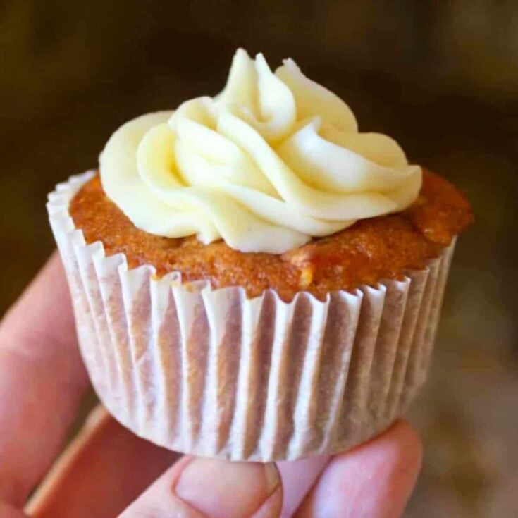 Pumpkin carrot Thanksgiving cupcakes
