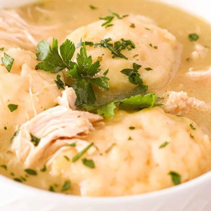 A bowl of slow cooker chicken and Bisquick dumplings