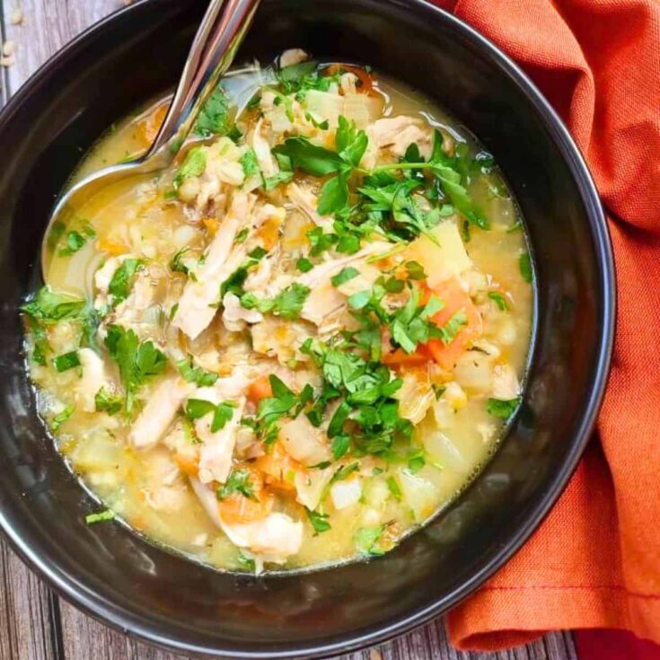 Slow cooker chicken and barley soup