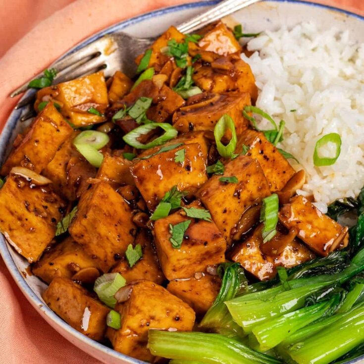 Tofu adobo with rice