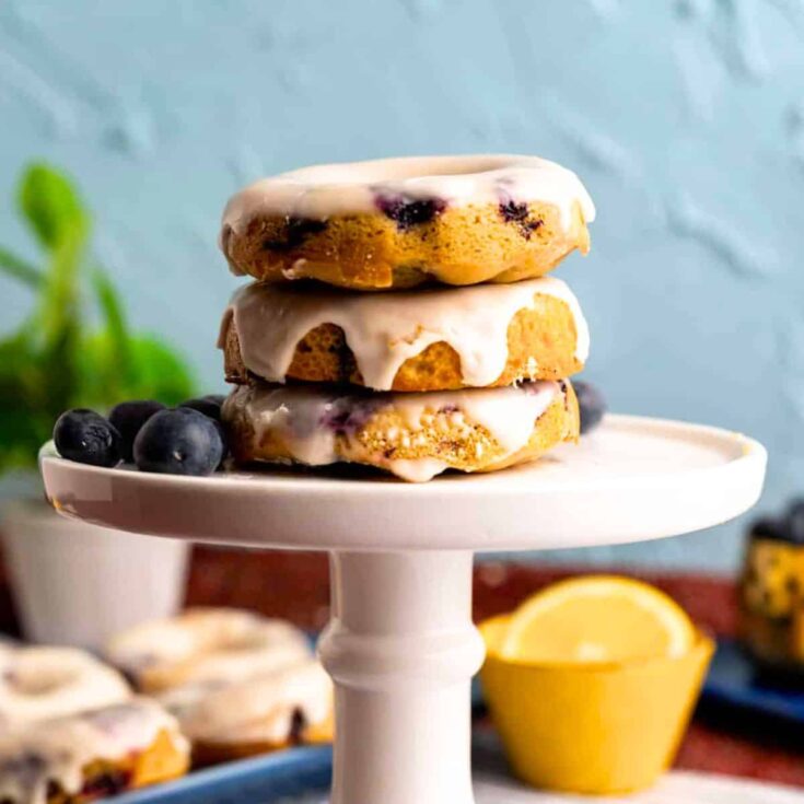 Baked blueberry donuts made after reading these donut recipes