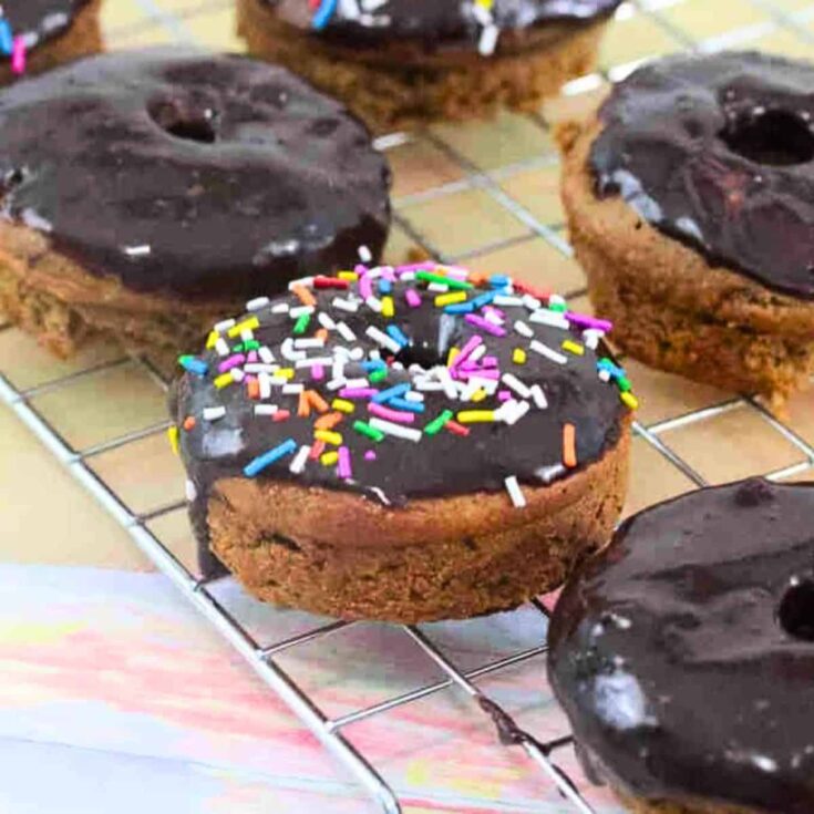 Chocolate glazed protein donut topped with sprinkles