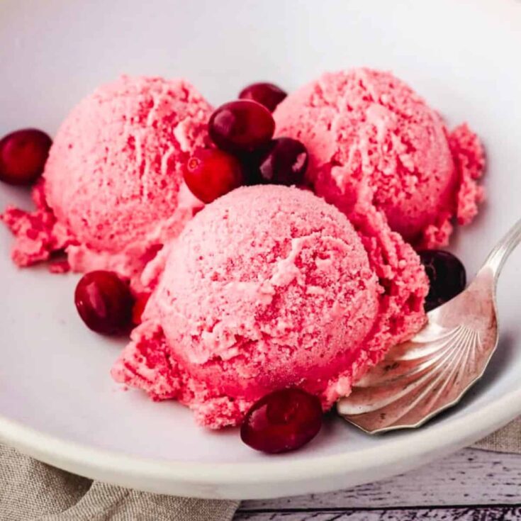 Cranberry ice cream