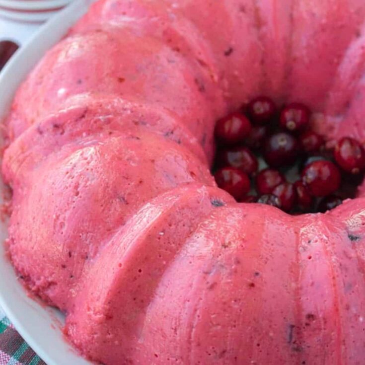 Cranberry mousse