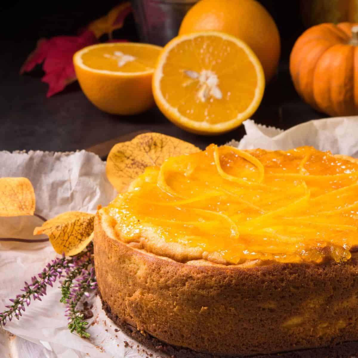 Thanksgiving Cheesecake surrounded by oranges and pumpkins.
