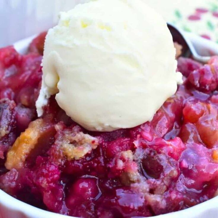 Delicious cranberry-apple dessert topped with ice cream