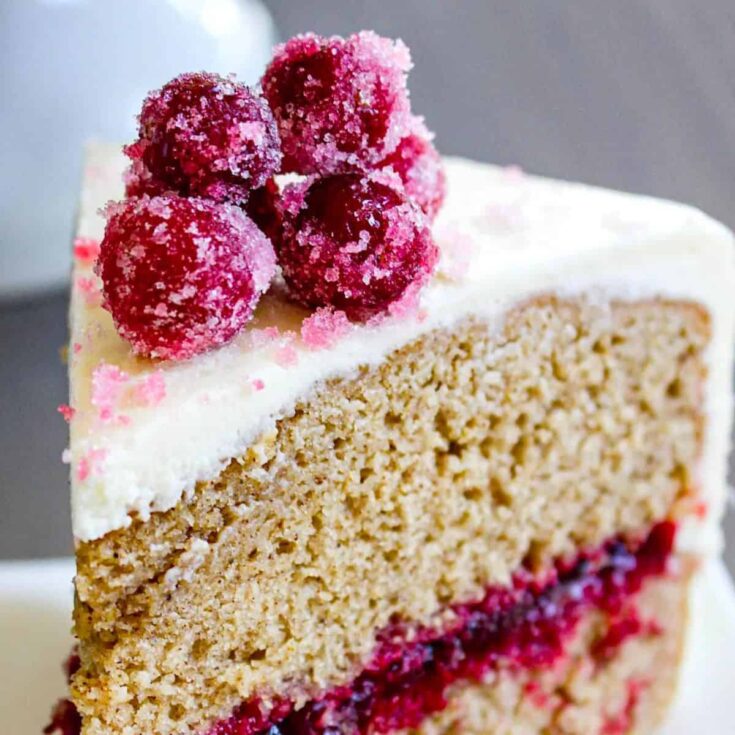 A slice of fresh cranberry cake