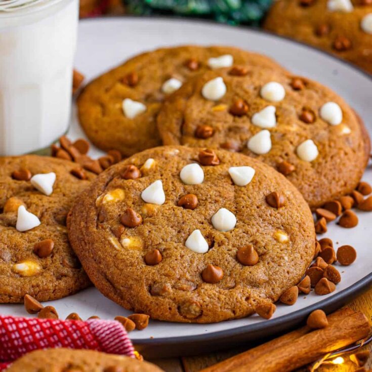 Gingerbread chocolate chip cookies on a plate