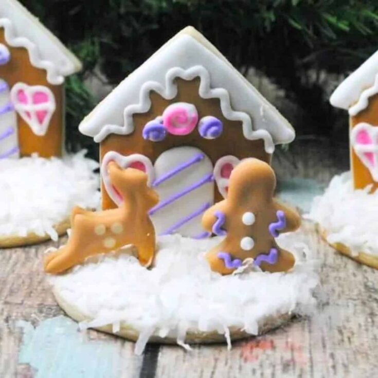 Gingerbread house cookies