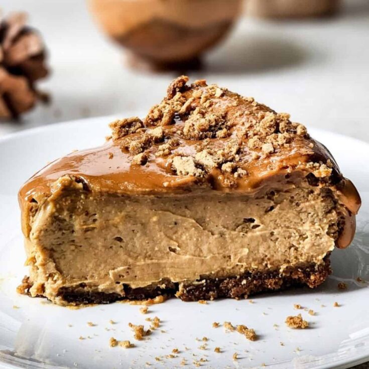A slice of Gingerbread with caramel topping cheesecake