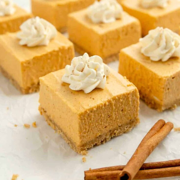 No bake pumpkin cheesecake bars