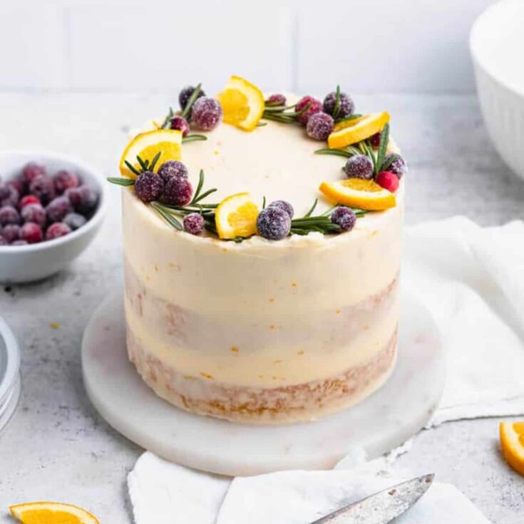 Orange cranberry cake topped with orange slices and cranberry