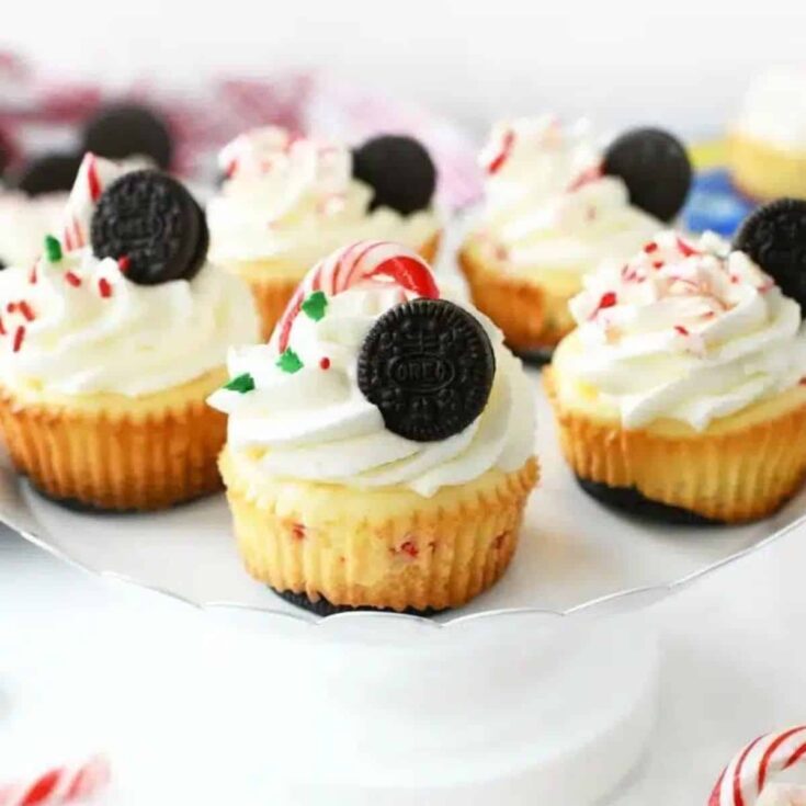 Peppermint mini Oreo cheesecakes