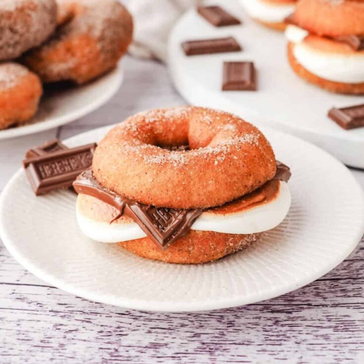 Smore donut, made after reading these donut recipes