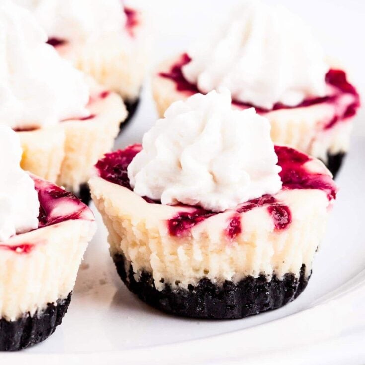 White chocolate raspberry mini cheesecakes